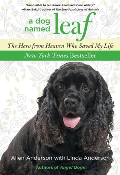 Dog Named Leaf: The Hero from Heaven Who Saved My Life (New York Times Best Seller)