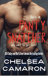 Panty Snatcher