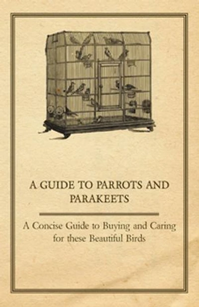 A Guide to Parrots and Parakeets - Concise Buying Caring for These Beautiful Birds