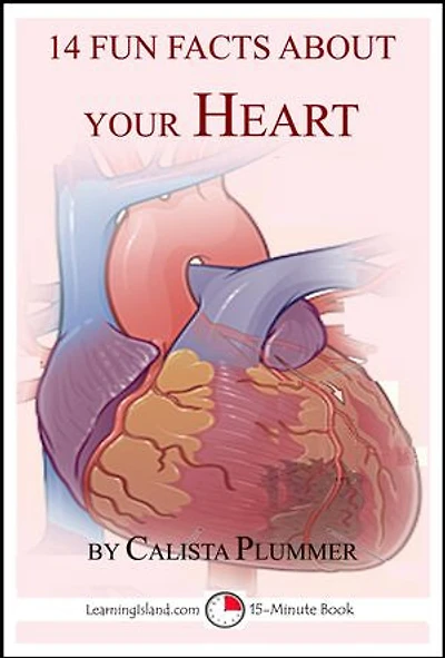 14 Fun Facts About Your Heart