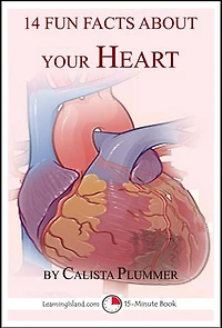 14 Fun Facts About Your Heart