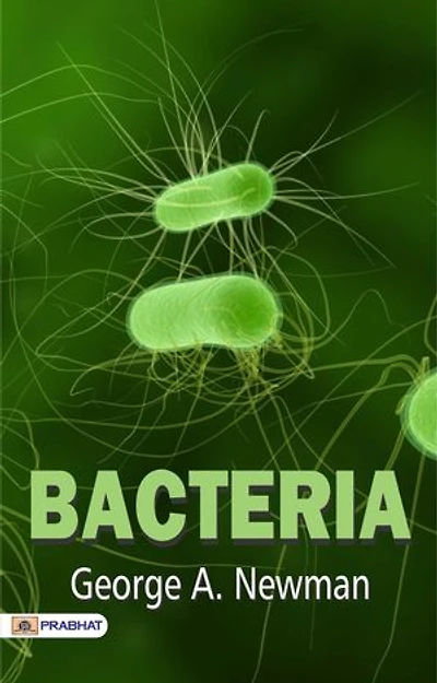 Bacteria