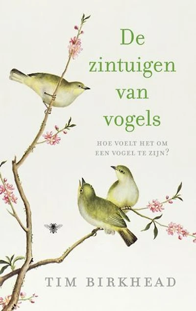 De zintuigen van vogels: hoe voelt het om een vogel te zijn?