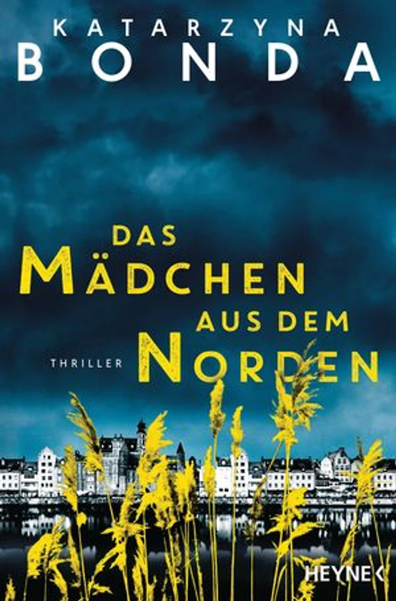 Das Mädchen aus dem Norden: Thriller