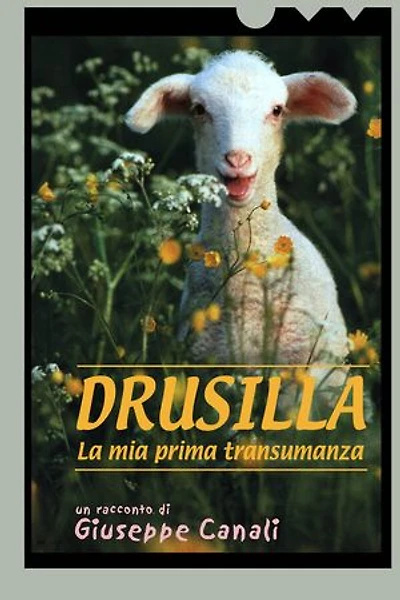Drusilla, la mia prima transumanza