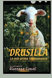 Drusilla, la mia prima transumanza