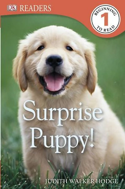 DK Readers L1: Surprise Puppy