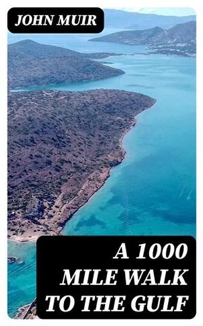 A 1000 Mile Walk to the Gulf: Enriched edition.
