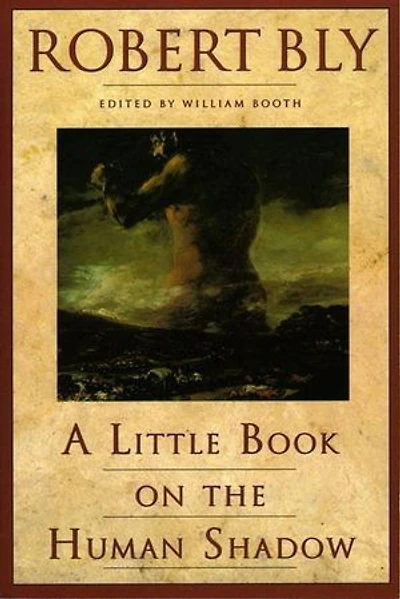 A Little Book on the Human Shadow