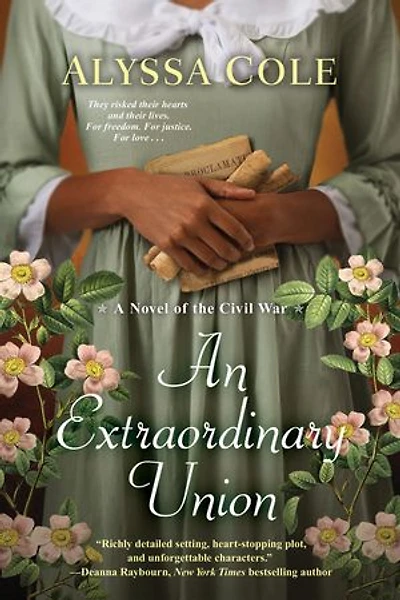An Extraordinary Union: Epic Love Story Of The Civil War