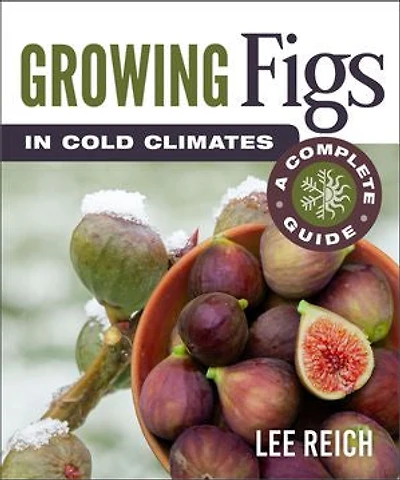 Growing Figs Cold Climates: A Complete Guide