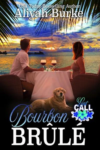 Bourbon Brûlé: A Military, One Night Stand Romantic Suspense
