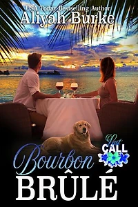 Bourbon Brûlé: A Military, One Night Stand Romantic Suspense
