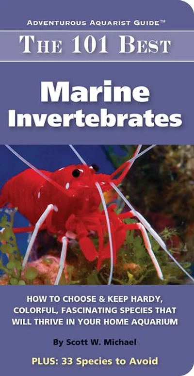 101 Best Marine Invertabrates