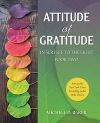 Attitude of Gratitude: Service to the Light Book Two