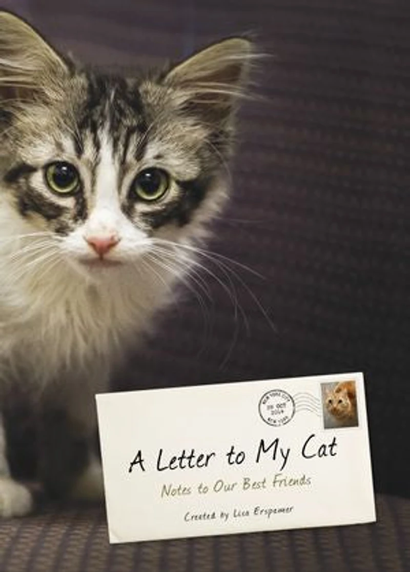 A Letter to My Cat: Notes Our Best Friends