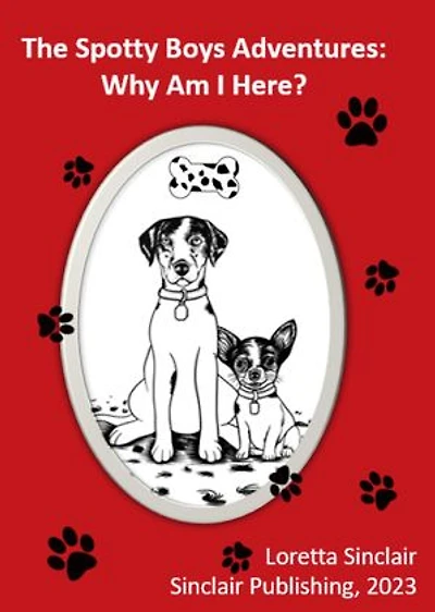 The Spotty Boys Adventures: Why Am I Here?