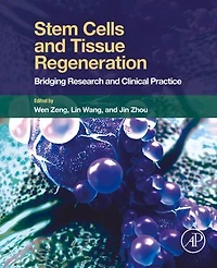 Stem Cells and Tissue Regeneration: Bridging Research Clinical Practice