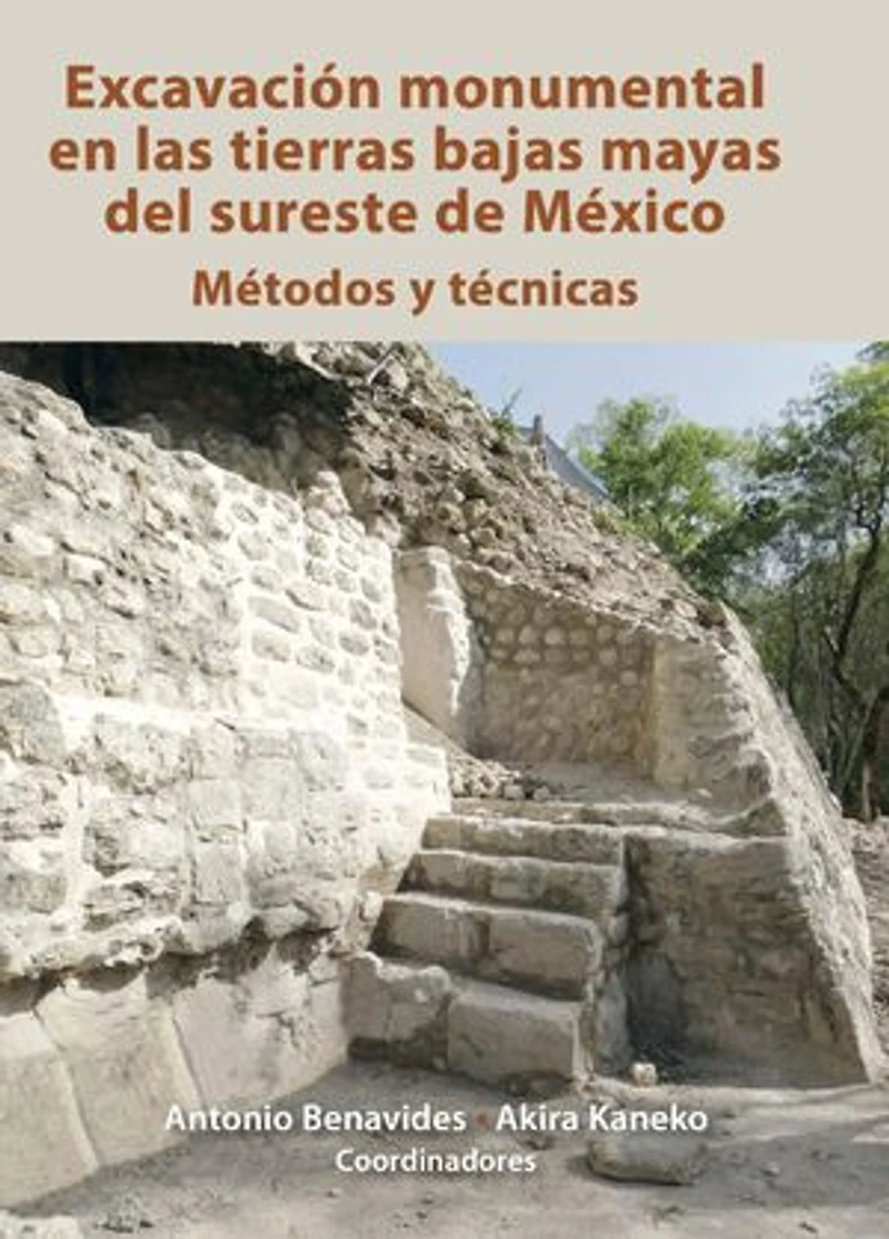 Excavación monumental en las tierras bajas mayas del sureste de México: Métodos y técnicas