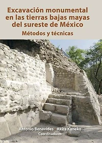 Excavación monumental en las tierras bajas mayas del sureste de México: Métodos y técnicas