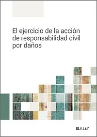 El ejercicio de la acción de responsabilidad civil por daños
