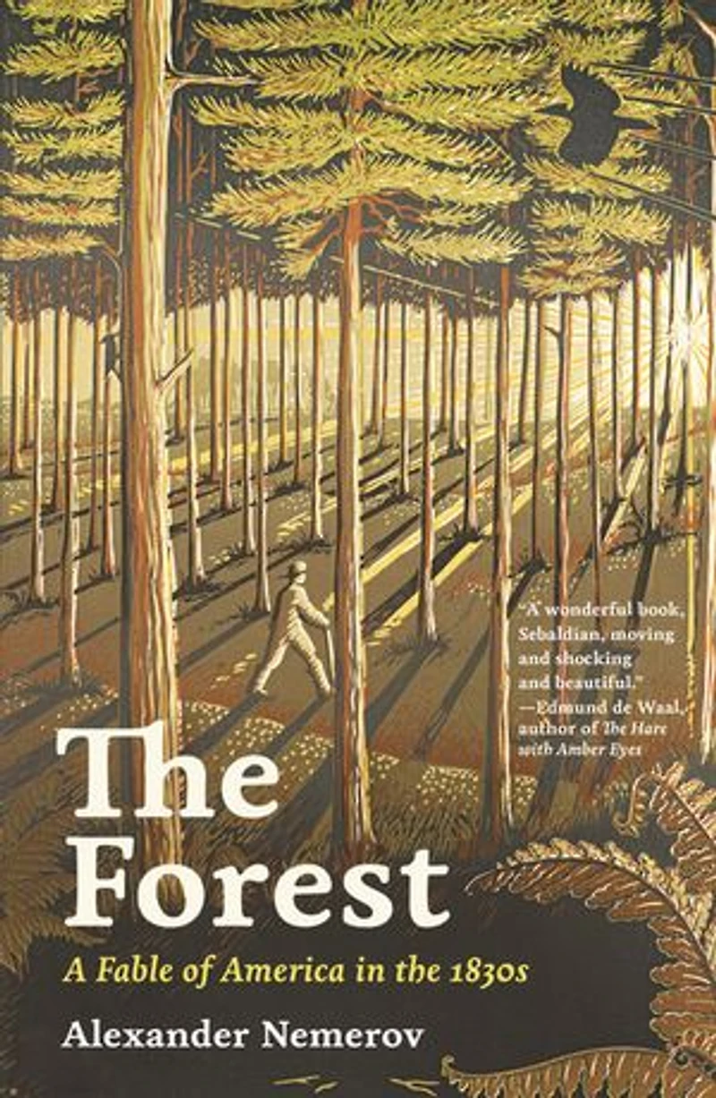 the Forest: A Fable of America 1830s