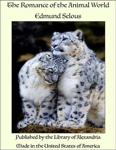The Romance of the Animal World