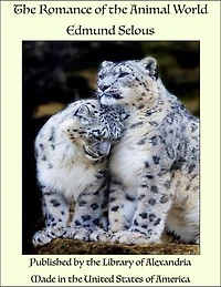 The Romance of the Animal World