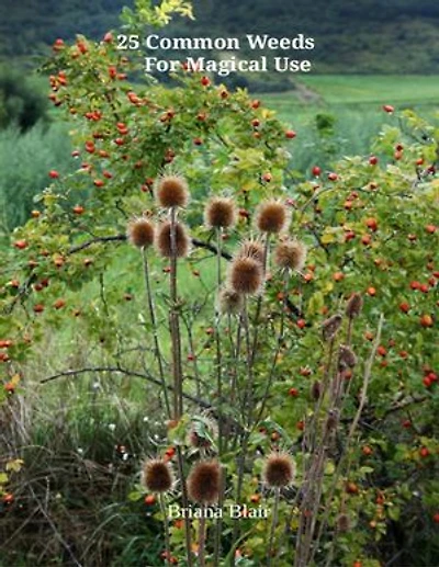25 Common Weeds for Magical Use