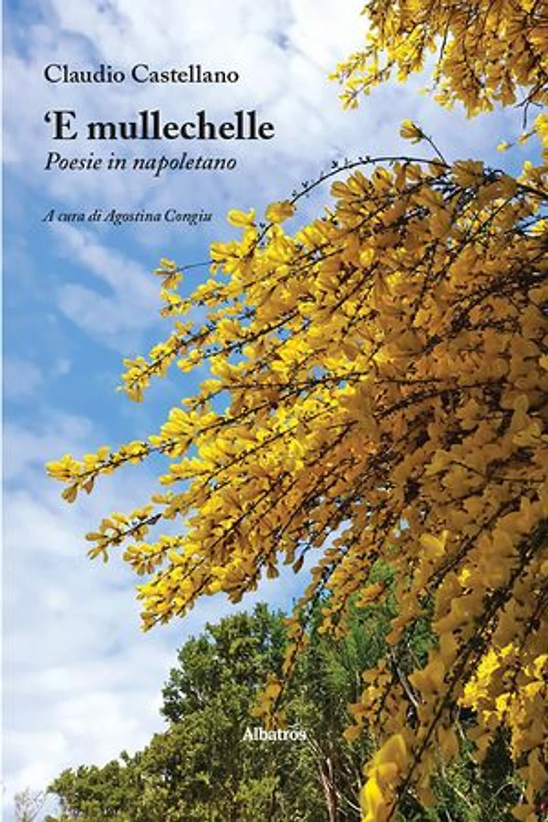 ‘E mullechelle. Poesie in napoletano
