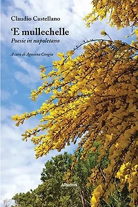 ‘E mullechelle. Poesie in napoletano