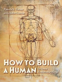 How to Build a Human: Seven Evolutionary Steps