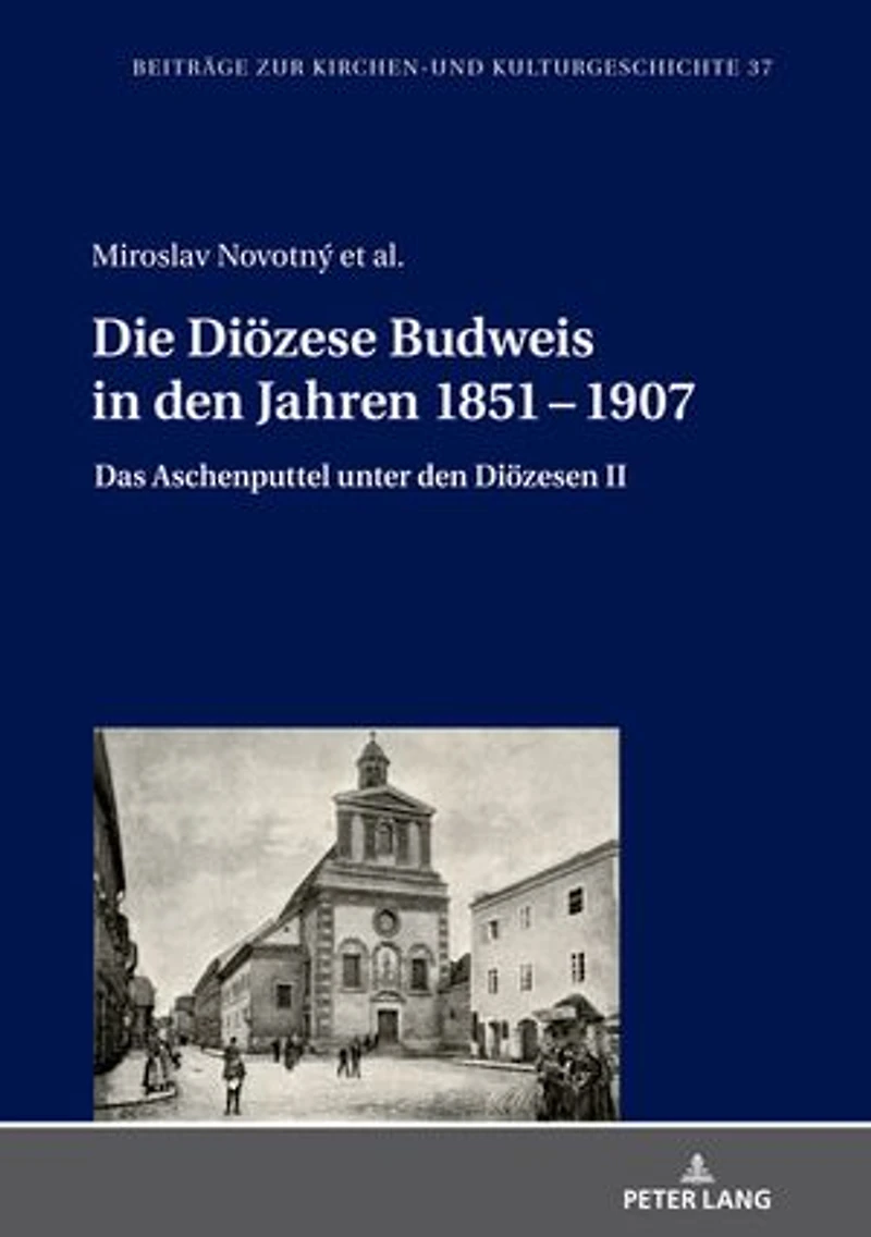 Die Dioezese Budweis den Jahren 1851 - 1907: Das Aschenputtel unter Dioezesen II