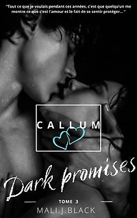 Dark Promises: Tome 3