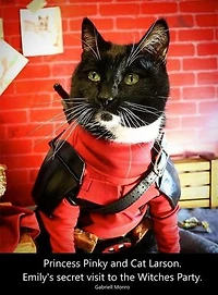 Princess Pinky and Cat Larson. Emily's secret visit to the Witches Party.