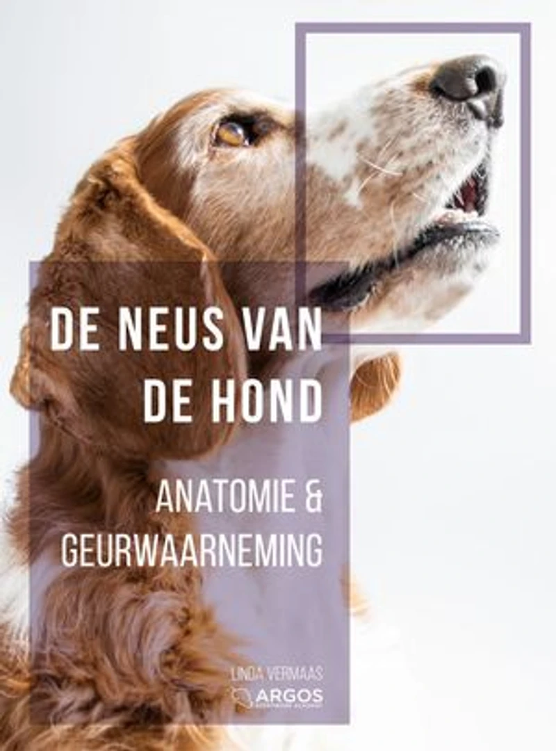Anatomie en geurwaarneming