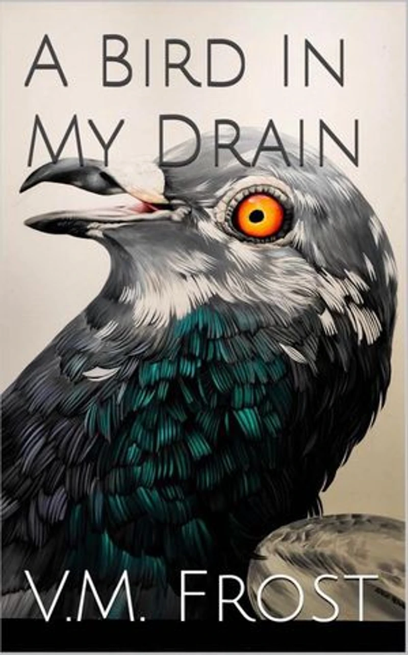 A Bird in my Drain: Wellington Boots, #5
