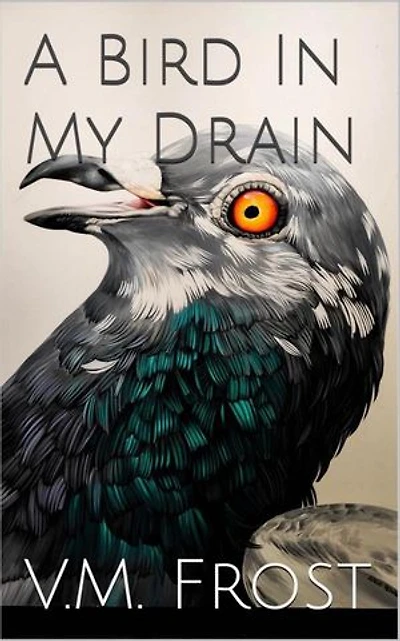 A Bird in my Drain: Wellington Boots, #5