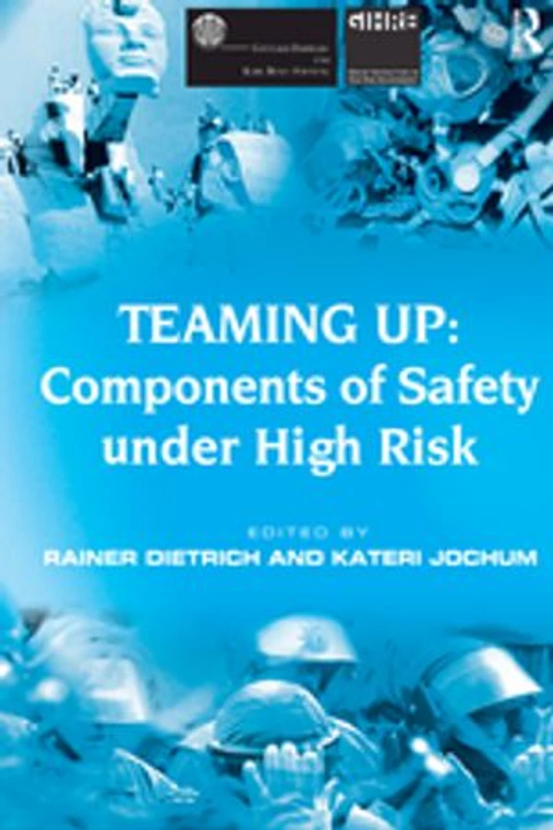 Teaming Up: Components Of Safety Under High Risk