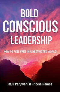 Bold Conscious Leadership