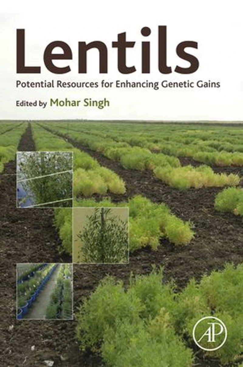 Lentils: Potential Resources For Enhancing Genetic Gains
