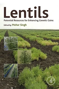 Lentils: Potential Resources For Enhancing Genetic Gains