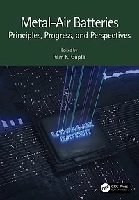 Metal-Air Batteries: Principles, Progress, and Perspectives