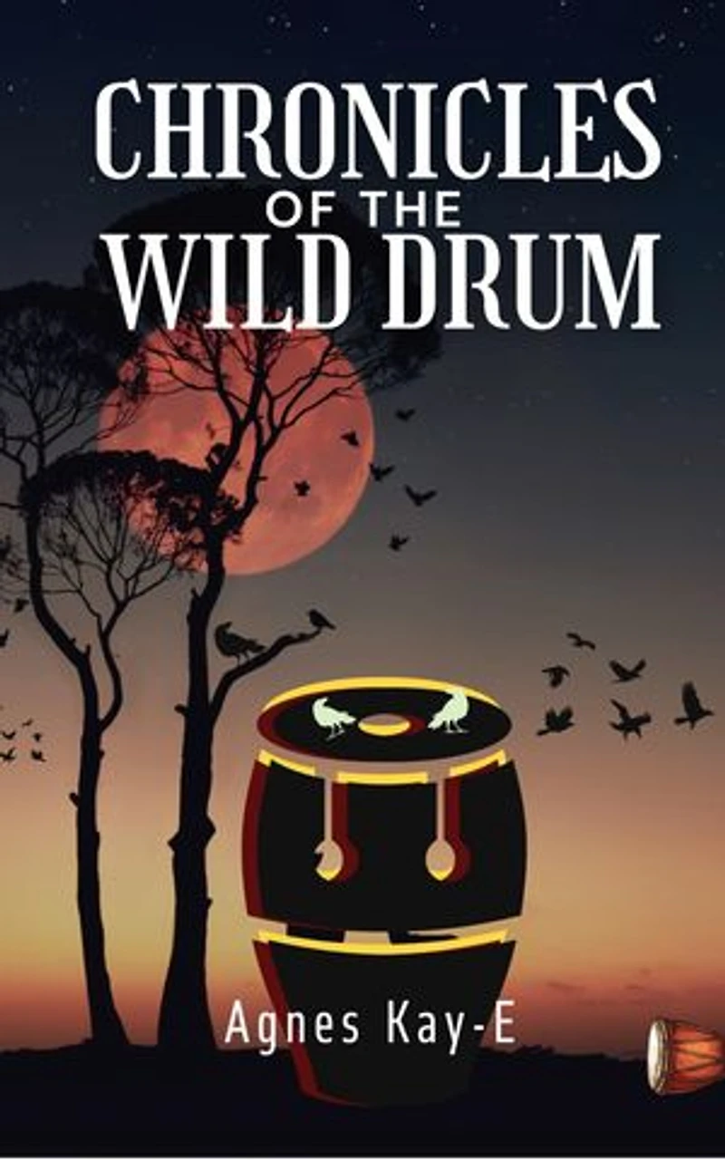 Chronicles of A Wild Drum