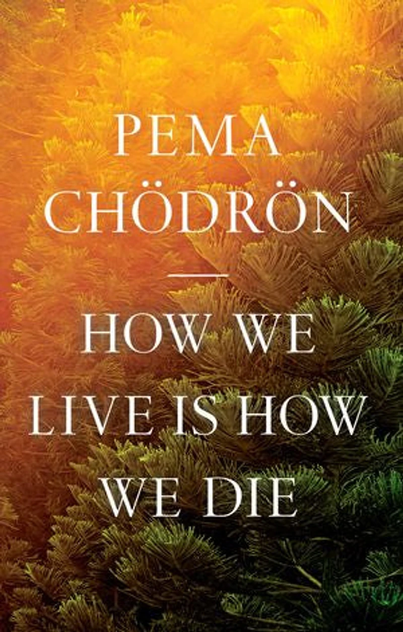 How We Live Is Die