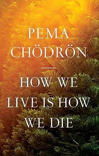 How We Live Is Die