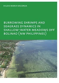 Burrowing Shrimps And Seagrass Dynamics Shallow-water Meadows Off Bolinao (new Philippines): Unesco-ihe Phd