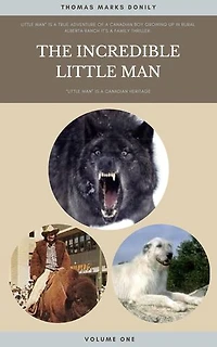 THE INCREDIBLE LITTLE MAN
