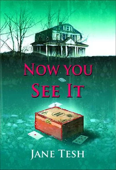 Now You See it: A Grace Street Mystery