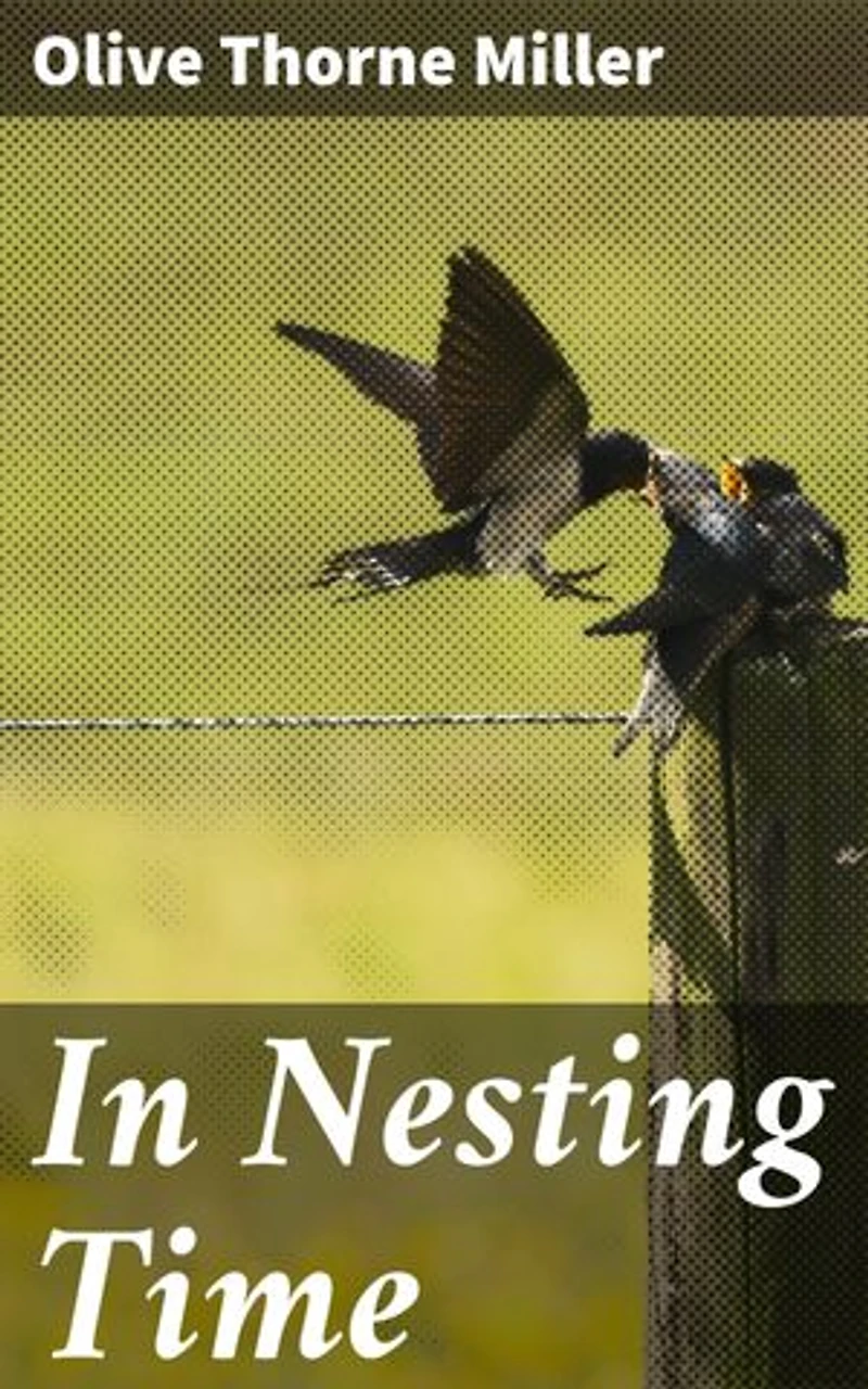 In Nesting Time: Exploring the Avian World in Nesting Season: An Ornithological Journey through Nature's Wonders